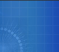 Cdd networks