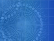 Cdd networks