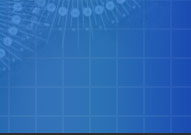 Cdd networks